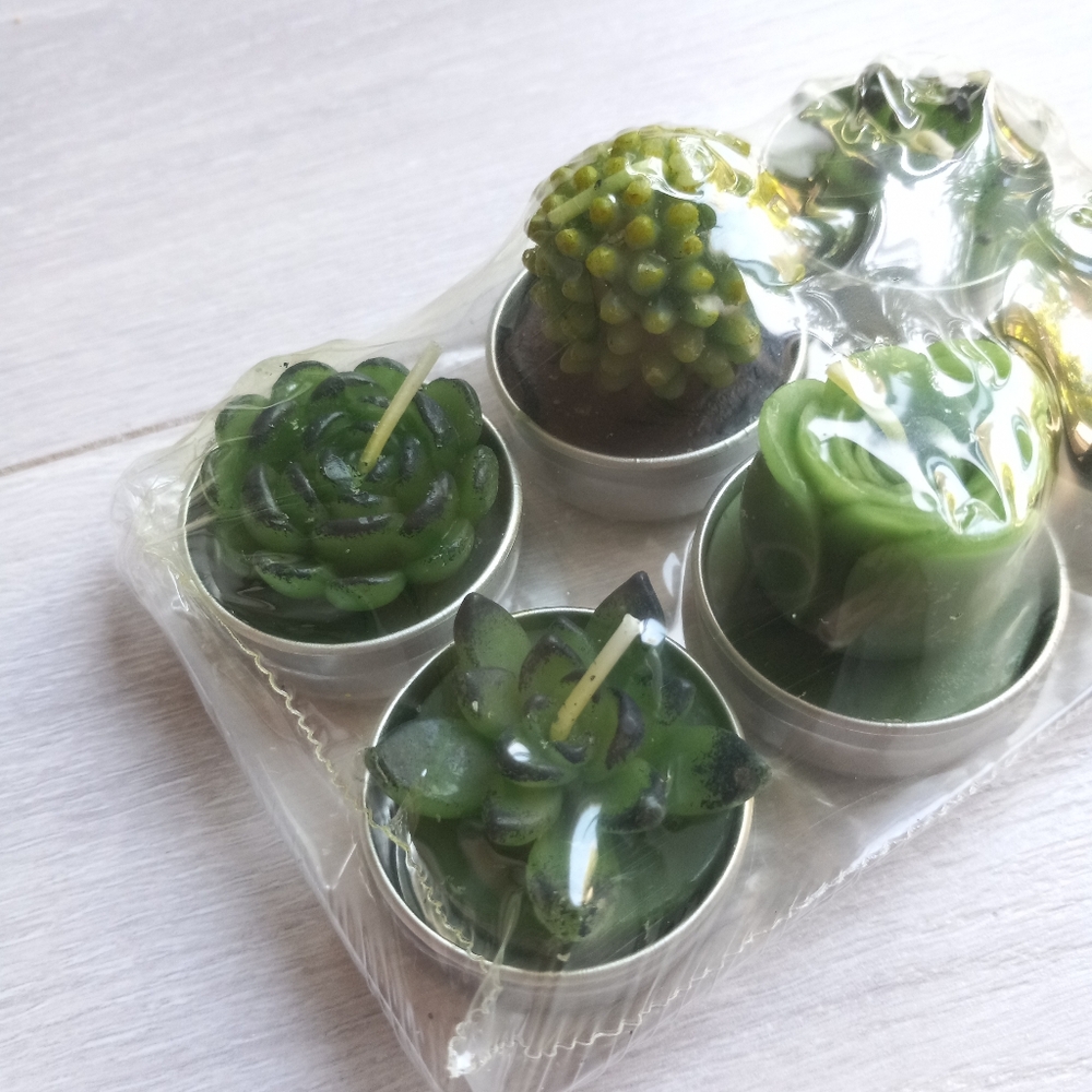 Scented Succulent Cactus Tealight Candles, 6pk NIP - Picture 2 of 13